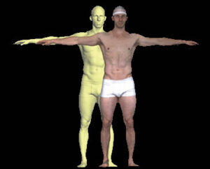 body system shot