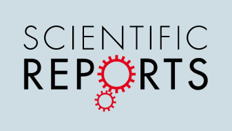B_Scientific Reports